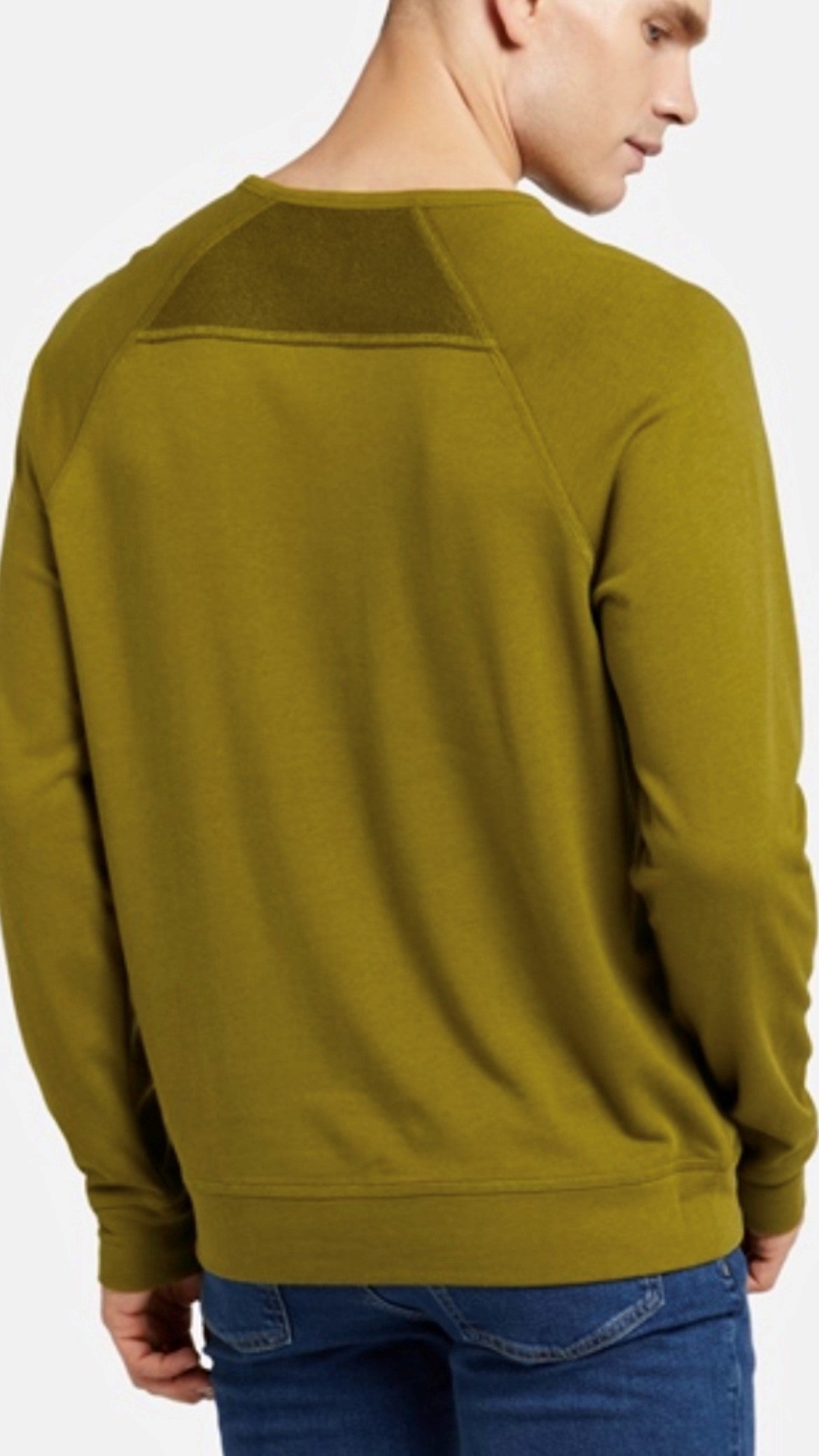 Herren-Pullover Olymp